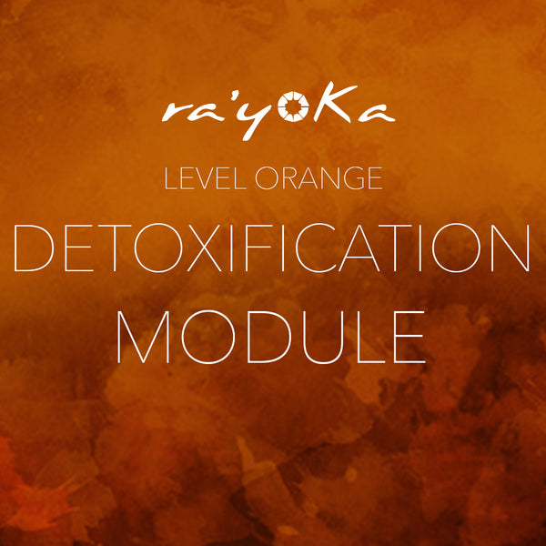 Level Orange DETOXIFICATION Series VIDEO DOWNLOAD